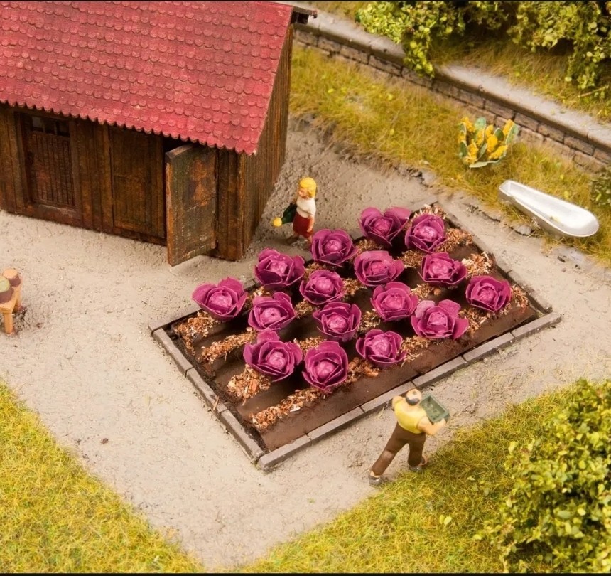 Noch Red Cabbage 13218 HO Scale