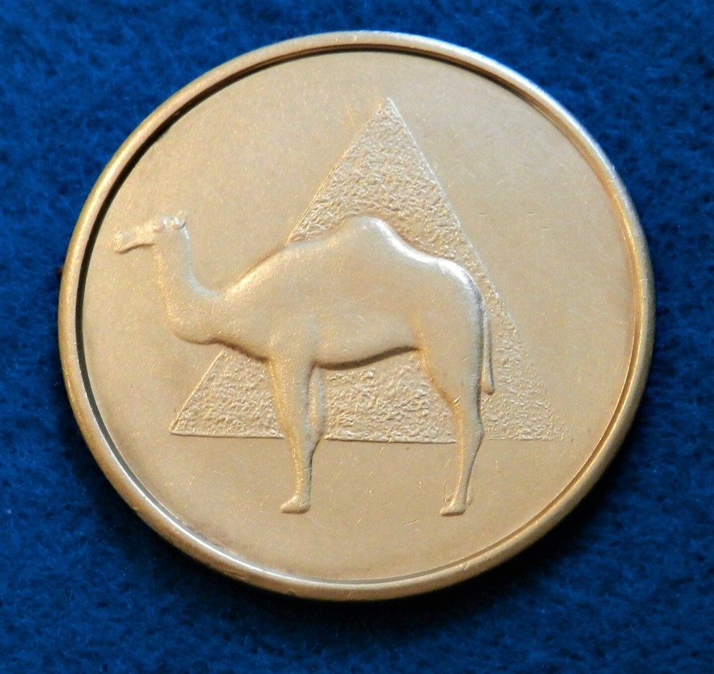 Camel and Pyramid - Recovery Token - Unique Design - See PICS
