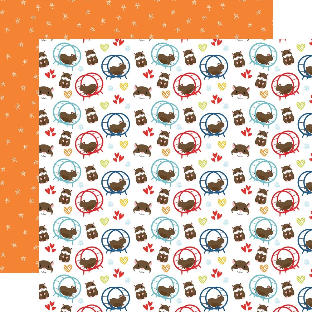 Pets Echo Park Collection Kit