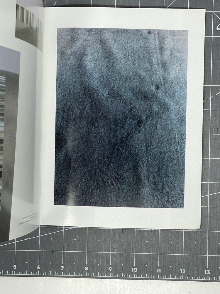 Joy Episalla: Inside/Out, September 9 - October 9, 1999