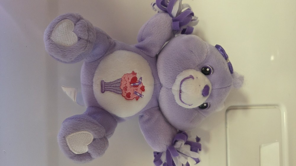 13in 20th Anniversary Share Care Bear