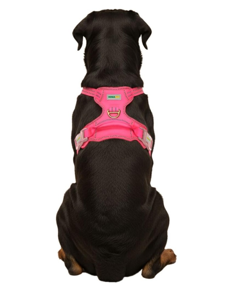 . No-Pull Dog Harness with Dual Leash Attachment Points, Soft Adjustable Padd...