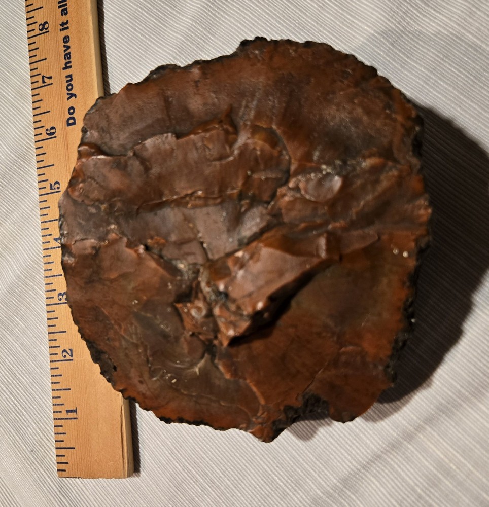 Red Petrified Wood