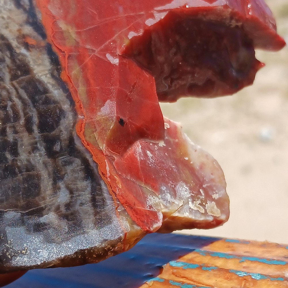 Jasper With Host Slab Contact Zone Red Banding Lapidary Potential