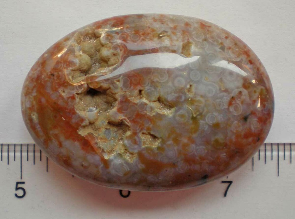 Ocean Jasper Palm Stone sc687n