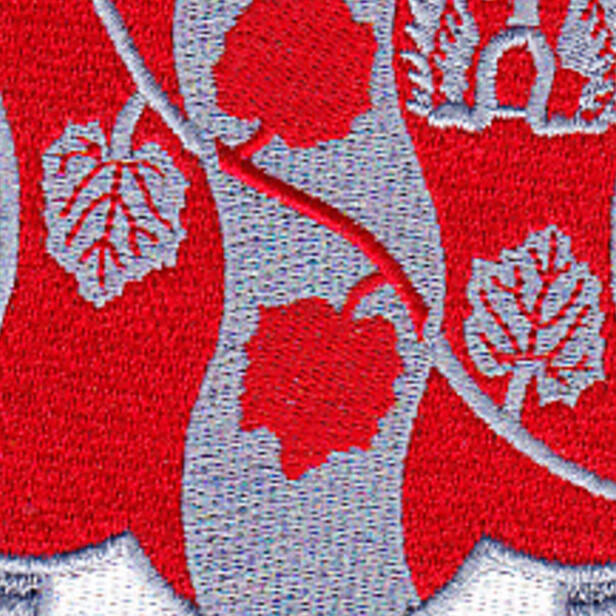 151st Chemical Battalion Patch