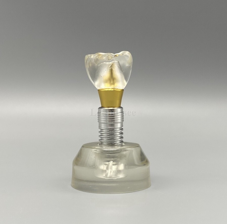 Dental Implant Model Detachable Demonstration Teeth Study Teach Model M2020