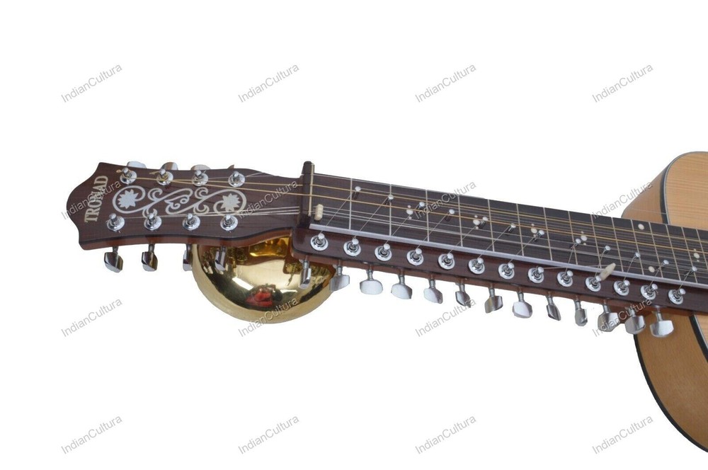 Professional Classical Plucked String Musical Instrument MohanVeena Slide Guitar