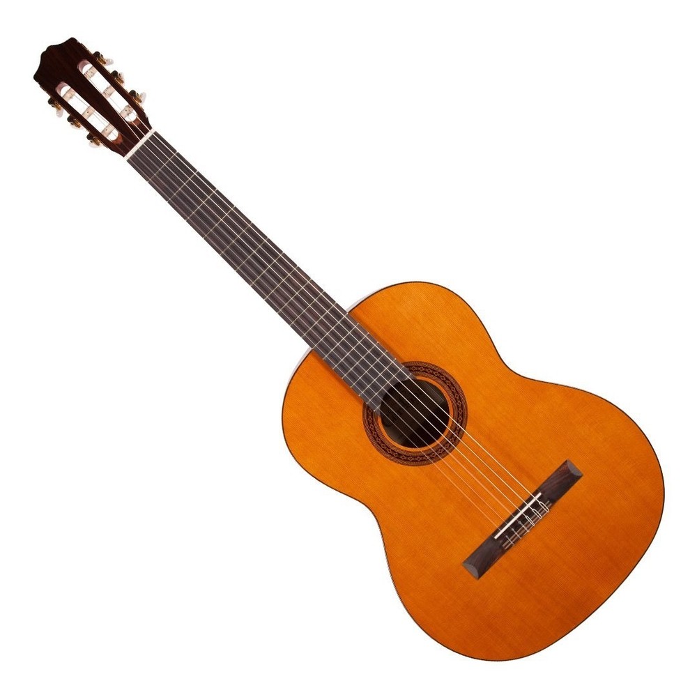 Cordoba C5 Lefty - Solid Cedar Left HandNylon String Acoustic Guitar - Full Size