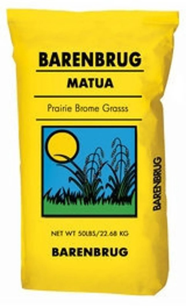 Matue Prairie Brome Grass for Pasture