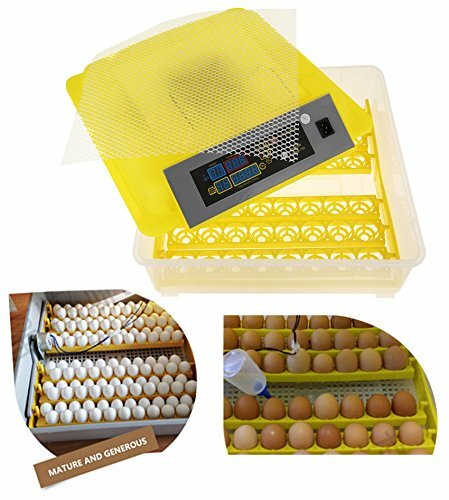 Egg Bird Incubator 48 Eggs Automatic Poultry Hatcher Breeder Digital Display