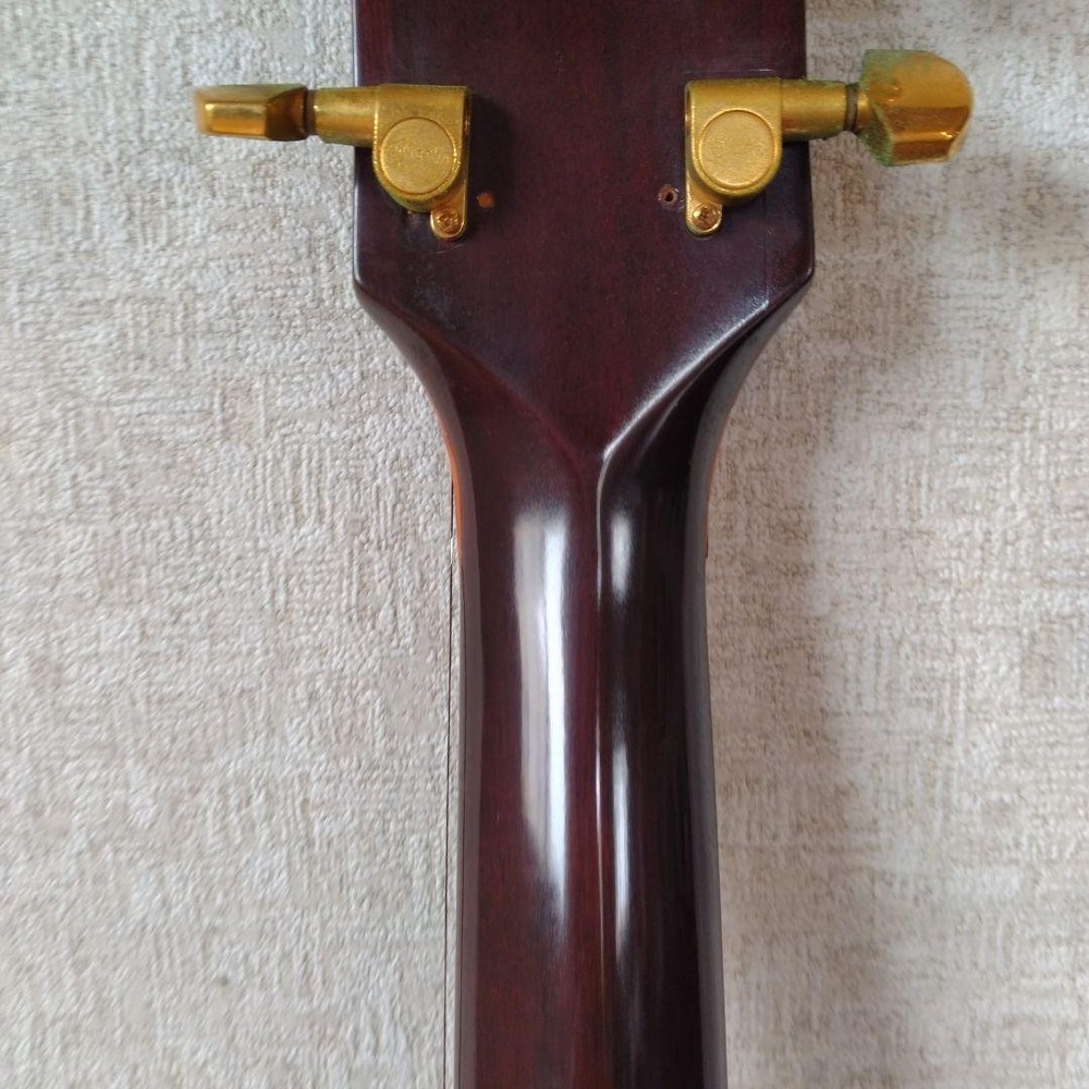 Chaki Guitar W-100 Limited Listing Until October