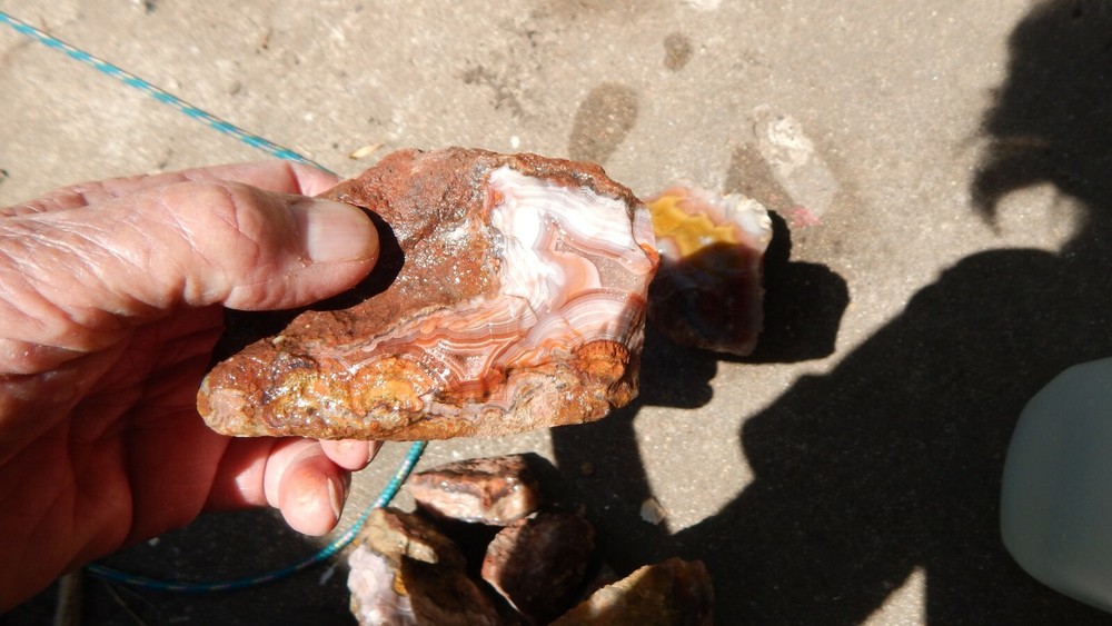 Laguna Agate Cabbing rough