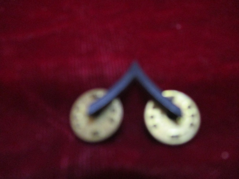 Private Collar Pin Set