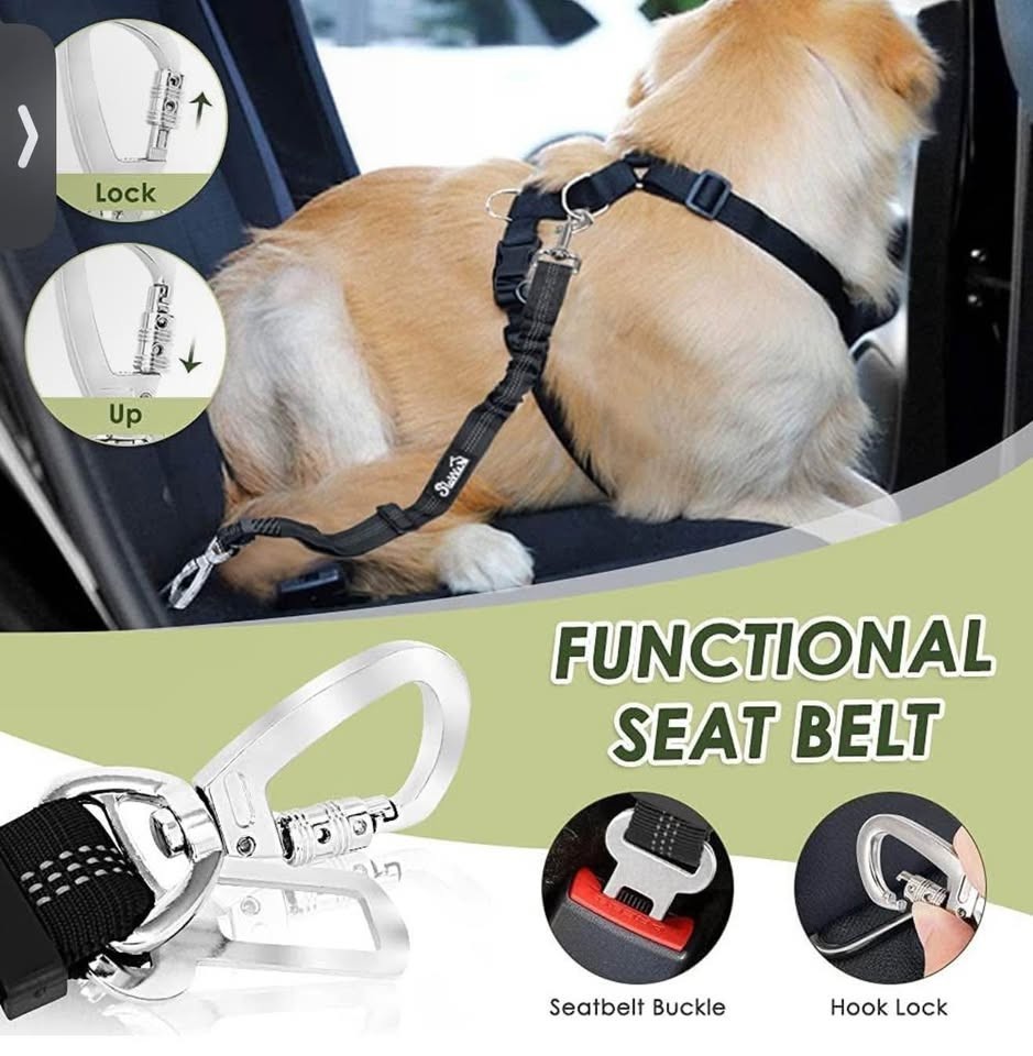 Dog Seatbelt