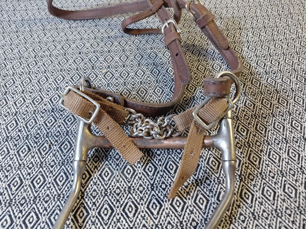 Circle Y Browband Leather Headstall With Bit