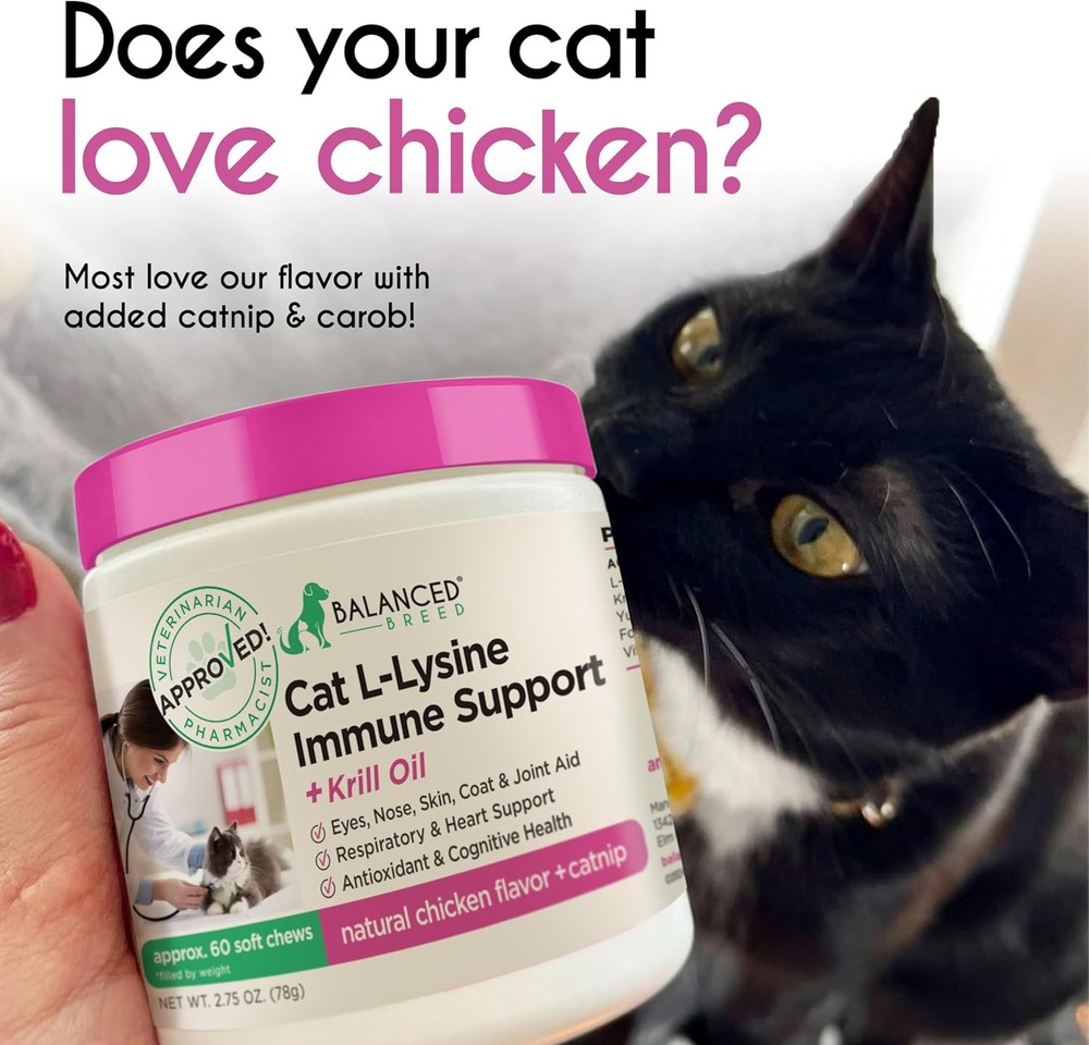 Balanced Formula L-Lysine Immune Support Soft Chews for Cats
