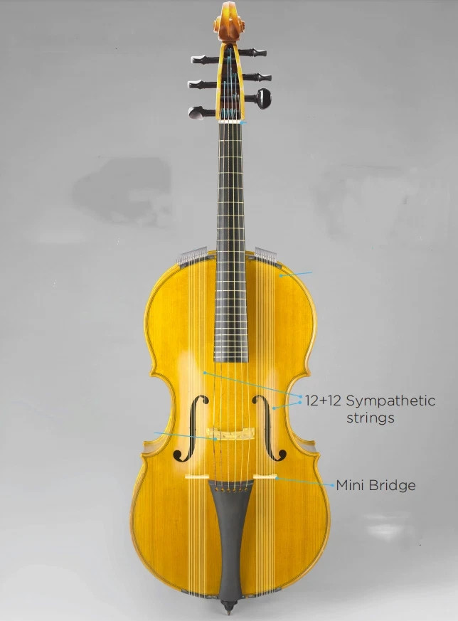 Full-scale 6 strings Cello-Arpeggione with 24 sympathetic strings, 4/4 Cello