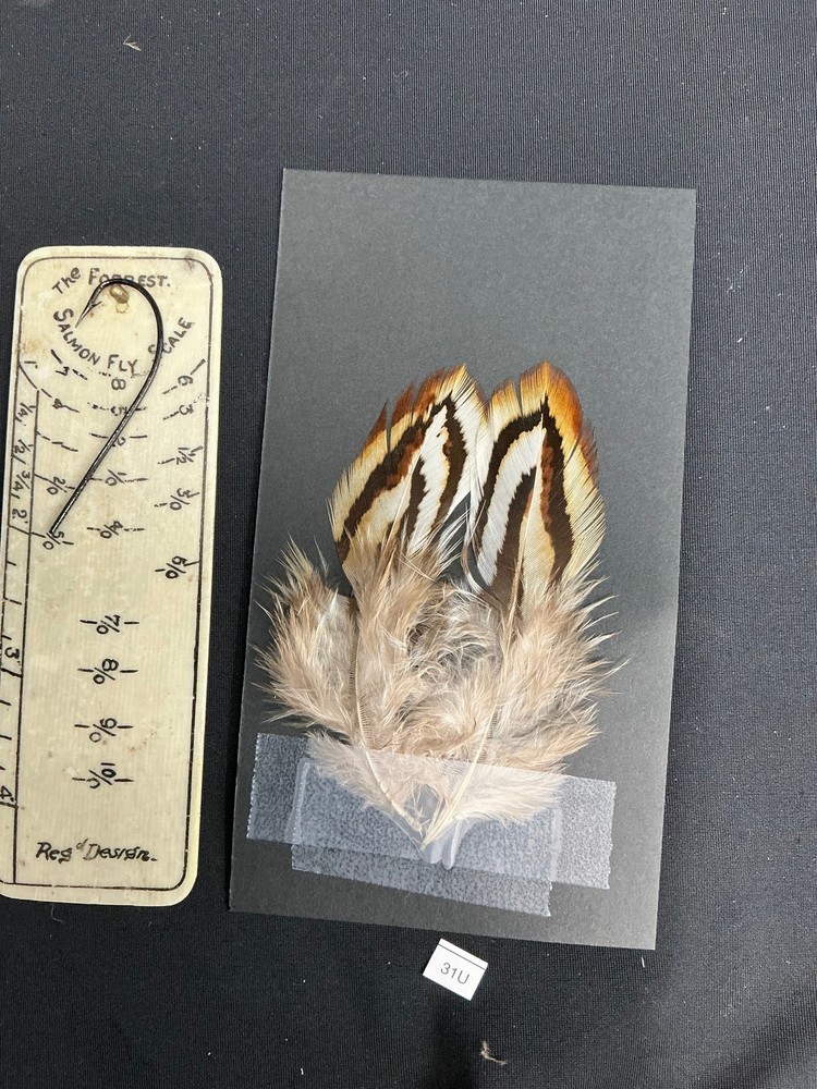 Hybrid Silver/Reeves Cross Pheasant feathers B