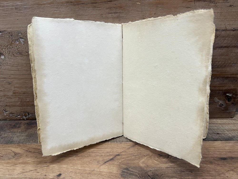 Butterfly Paper Journal 8" x 6"