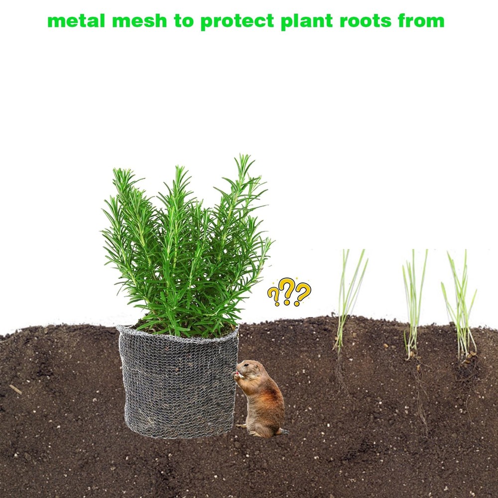 10 PCS Gopher Baskets 5 Gallon Stainless Steel Metal Mesh Root Protector