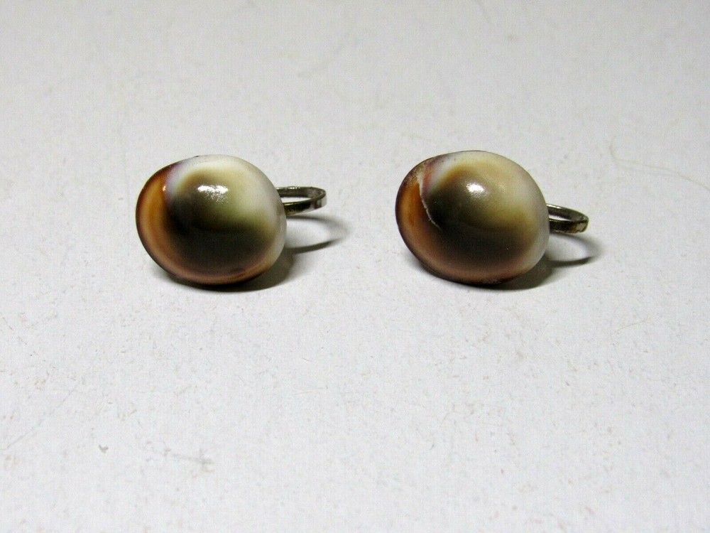 Vtg Polished Cat's Eye Shell Screw Back Earrings