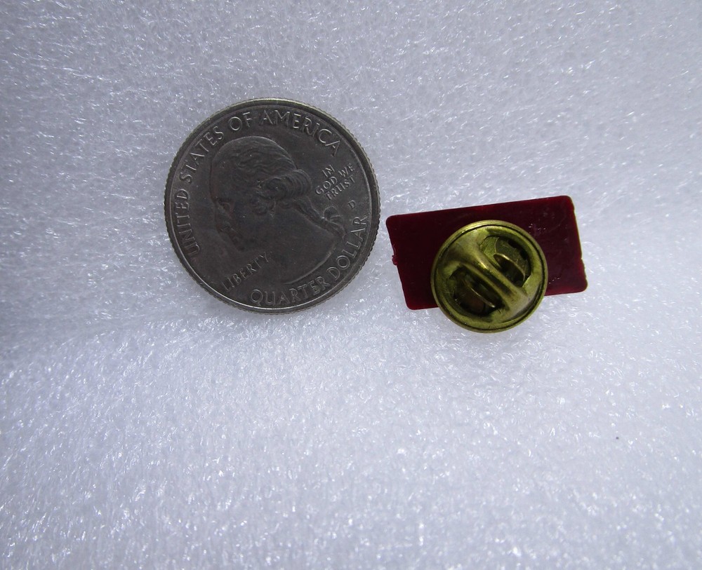 Concepts Of Care Plastic Pin