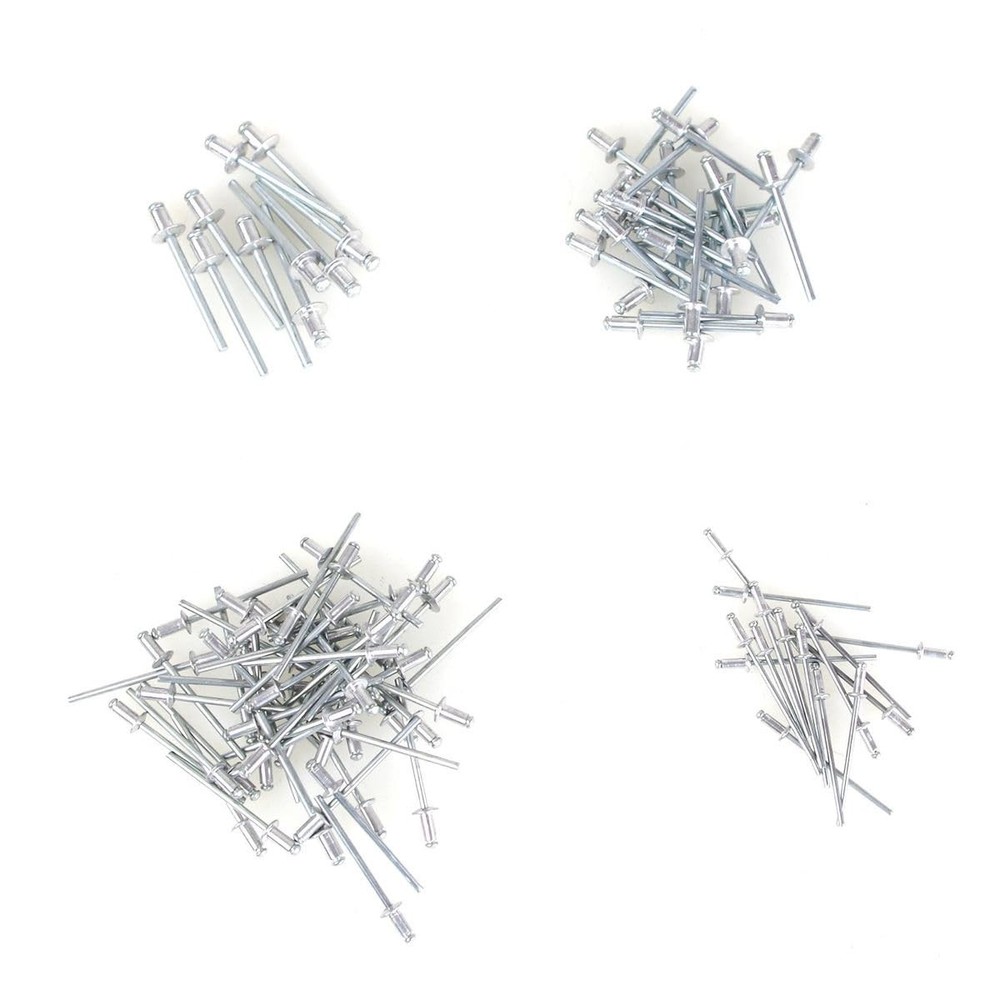 Riveter set including 100 rivets