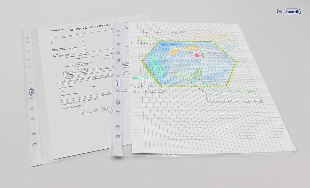 Favorit 100460053 Document Protectors