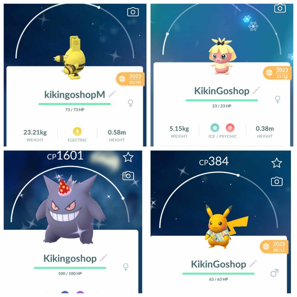 SHINY CUSTOME POKEMON GO (REGULAR SIZES) PLEASE SEE DESCRIPTION!!