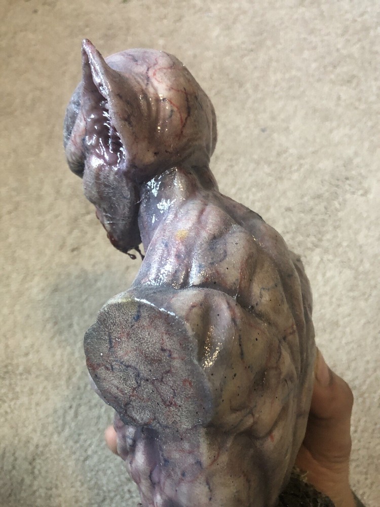 Hand Painted Dracula Vampire Bust