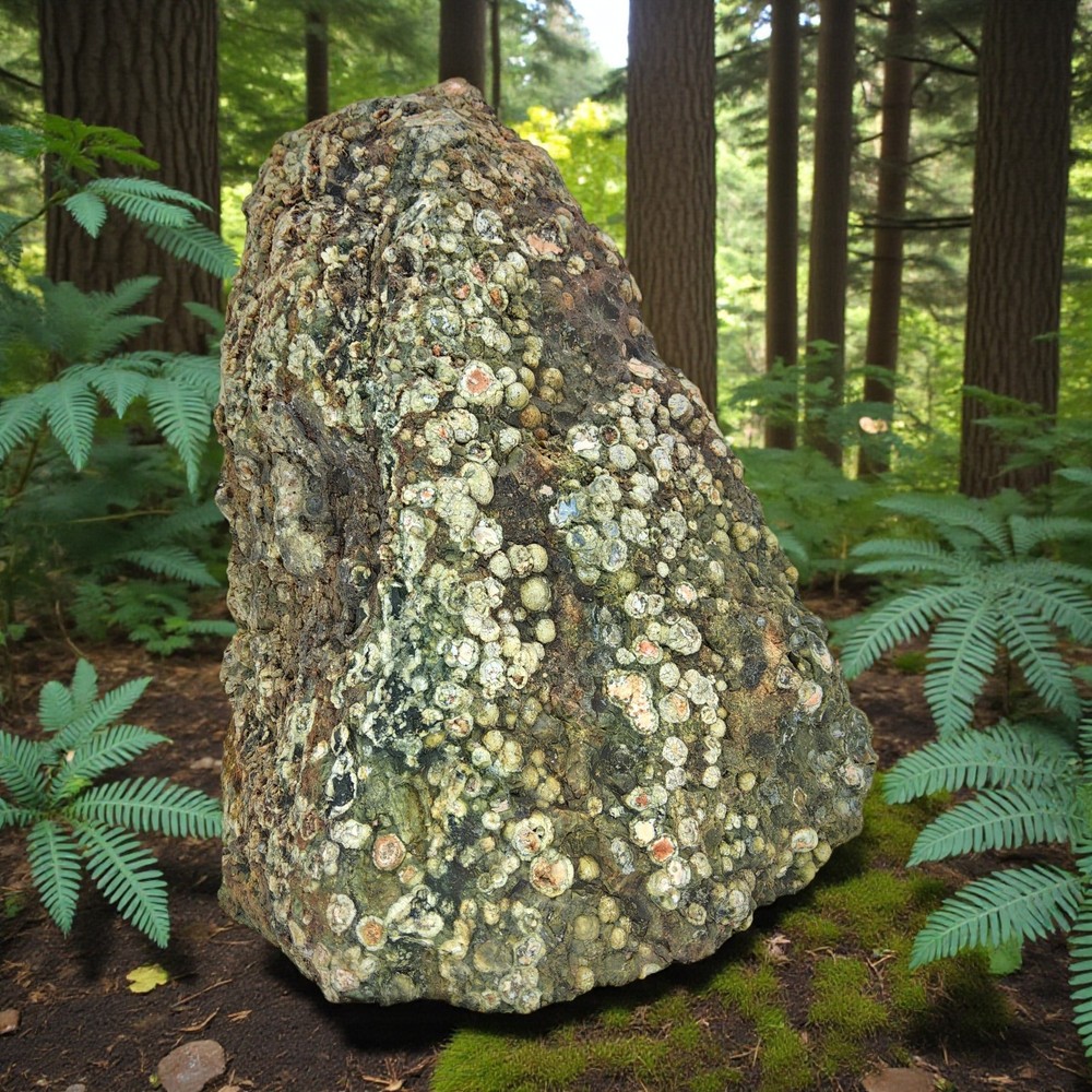Rainforest Jasper, 3.75 lbs, cabbing rough, lapidary, #R-6868