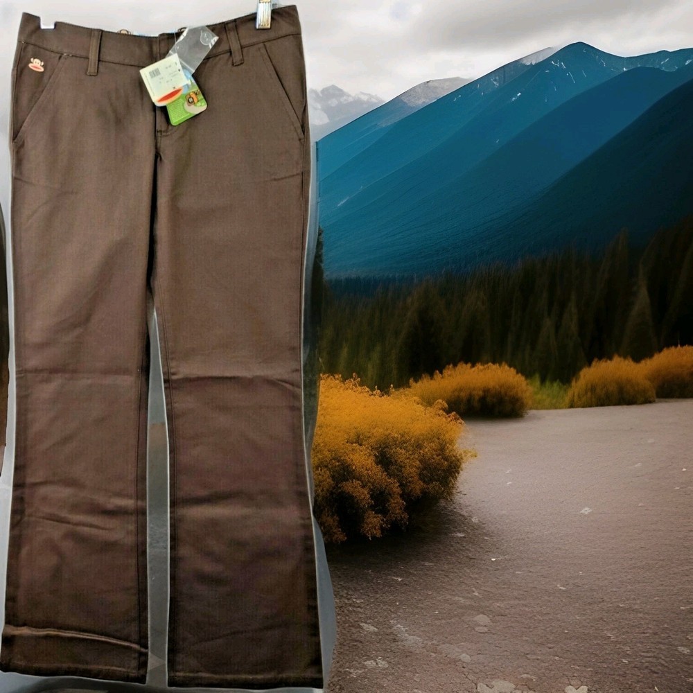 Paul Frank Brown Casual Pants Juniors 25/0   29 x 30