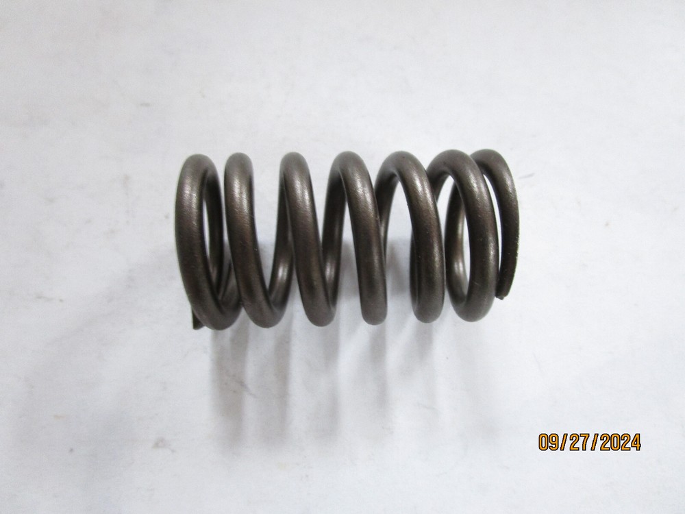 Engine Valve Spring SBI 160-1266