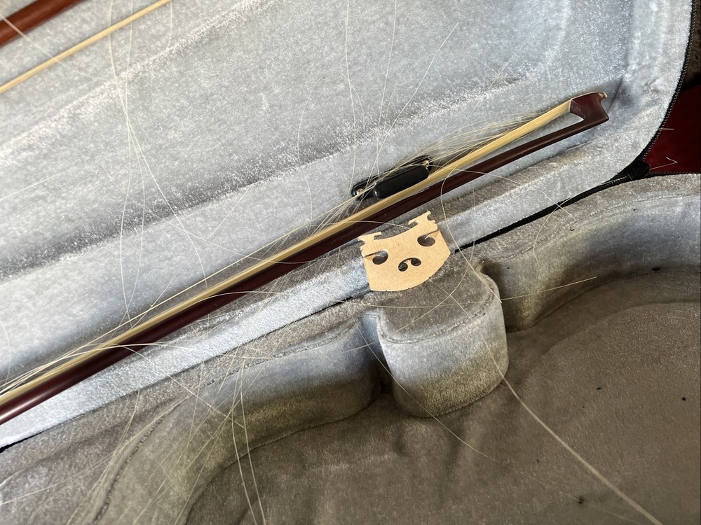 MAPLE LEAF STRINGS MLS120VN 4/4 VIOLINS - APPRENTICE COLLECTION