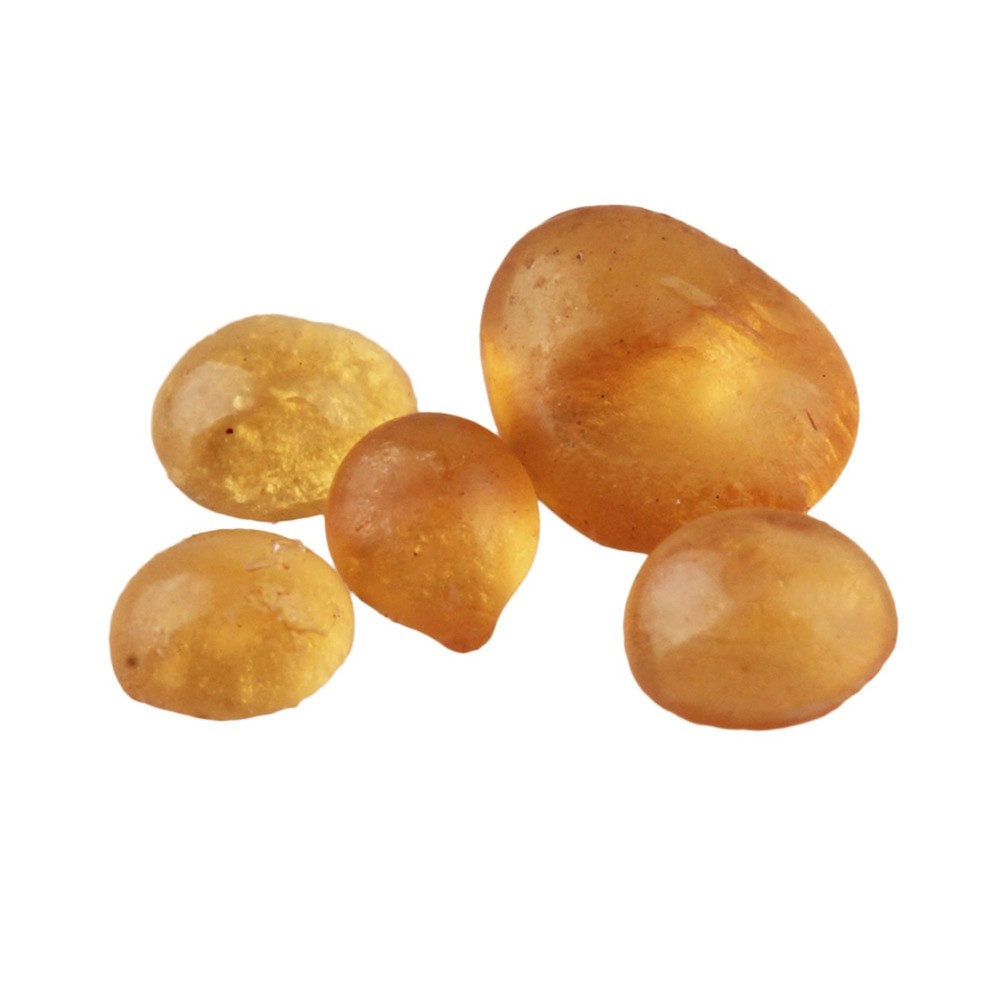 Animal Glue Luthier Hide Glue Replacement for Violin Maker 60G