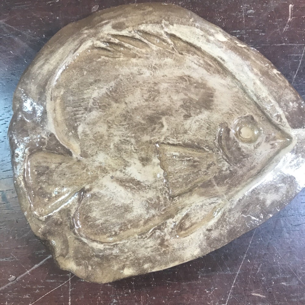 Fossil Fish Fossil