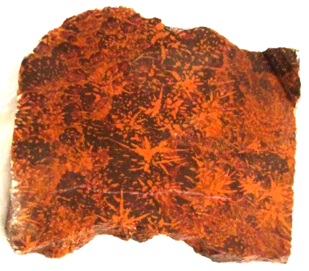 Starburst Jasper Slab - 120 Grams - Mexico - Fireworks - Spider