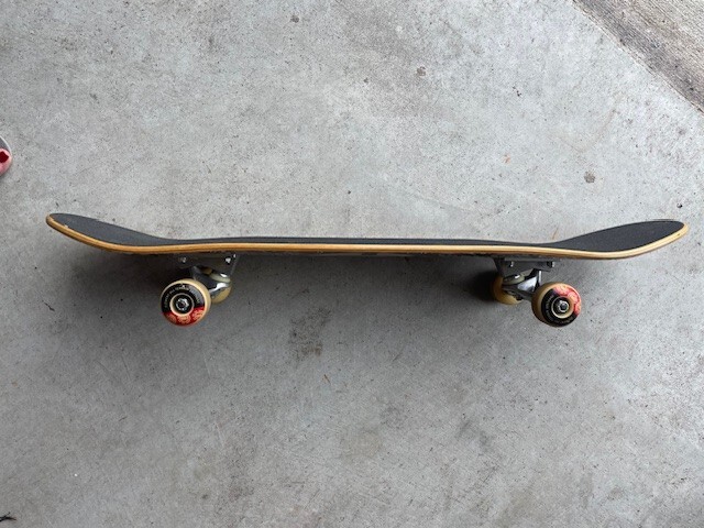 Element Skateboards Paisel Complete-7.75