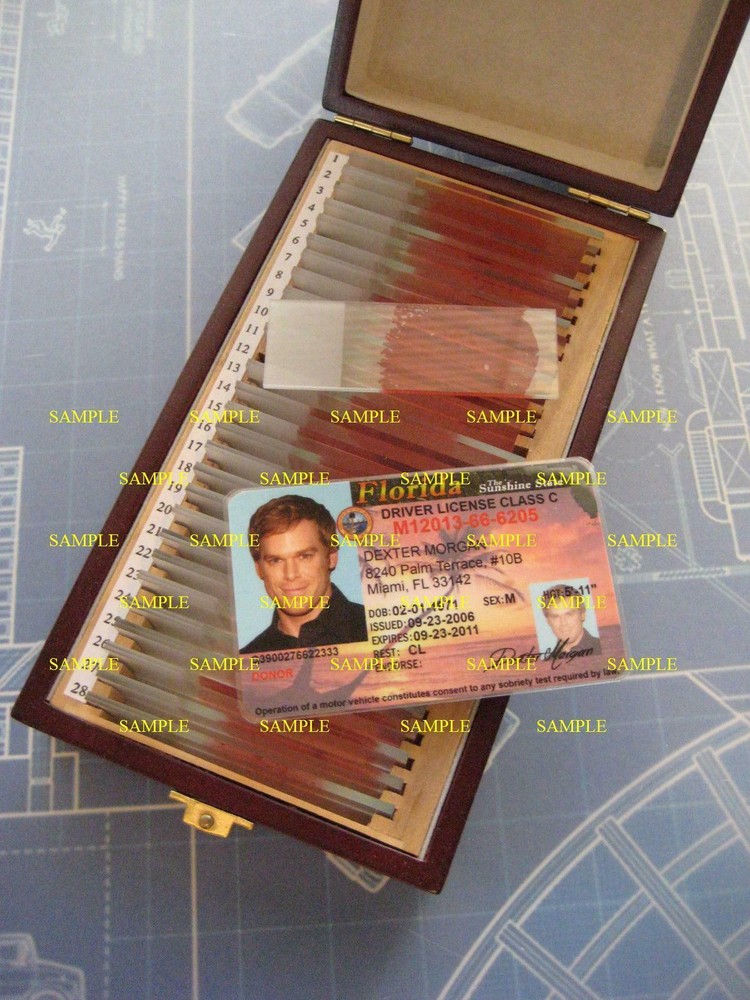 Dexter Morgan Driver's License - Prop - Cosplay - B3G1F