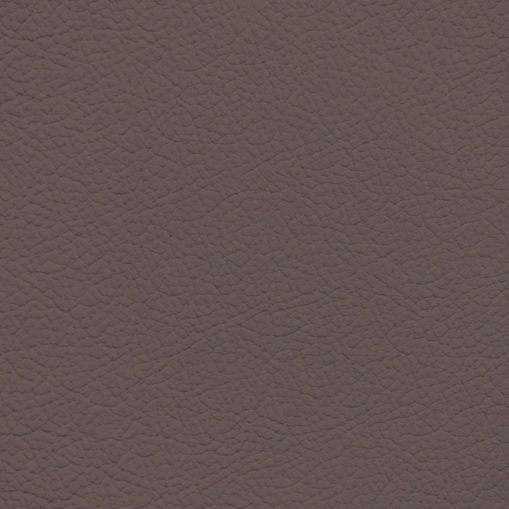 Lamborghini Marrone Janus Leather Dye