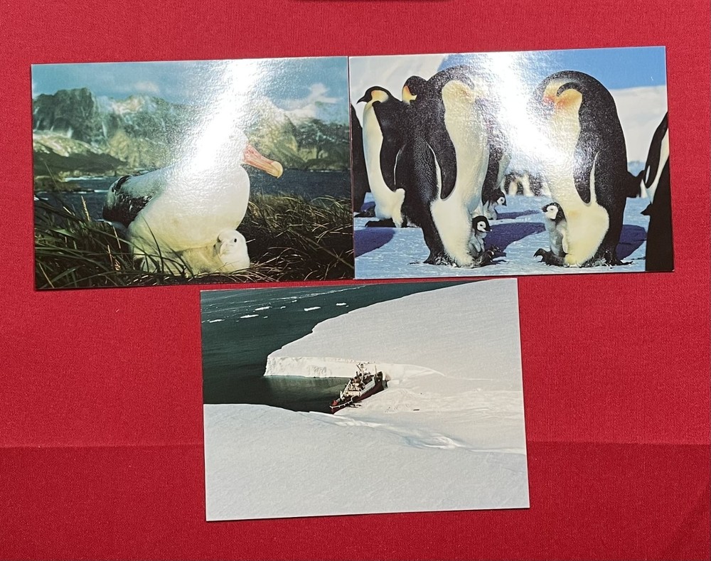 56 x British Antarctic Territory BAS Postcards