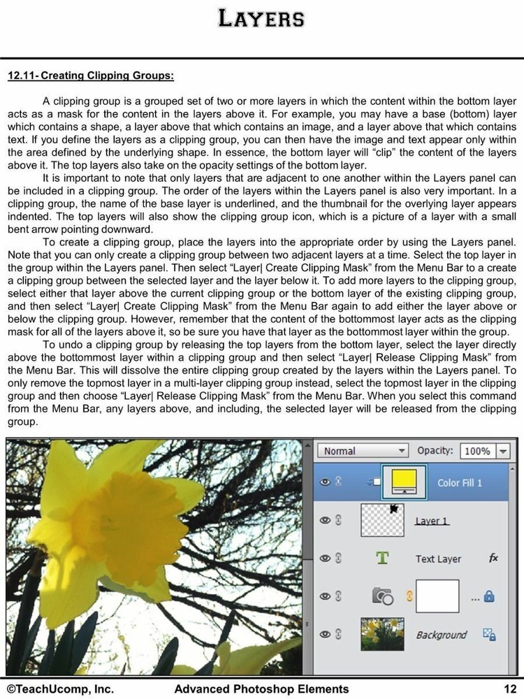 Learn Adobe PHOTOSHOP ELEMENTS 13 Training Tutorial DVD & Digital Course 6 Hours