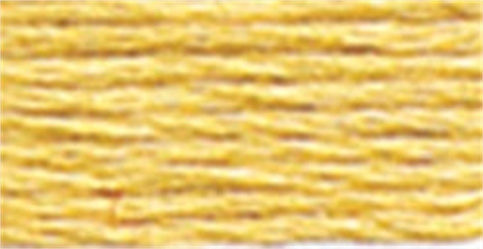 DMC Satin Floss 8.7yd-Light Golden Brown