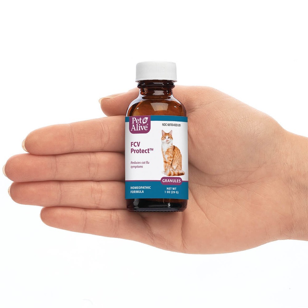 FCV Protect Granules for Cat Respiratory Problems