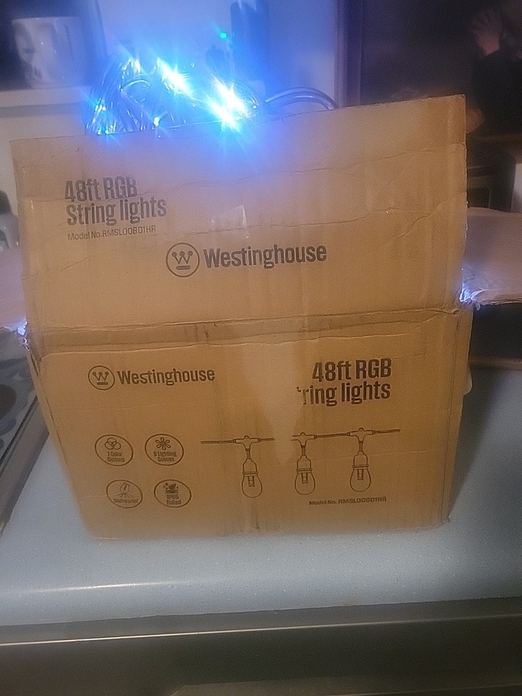 Westinghouse 48' Warm White LED String Light Set with Remote Control.Tested Ok.