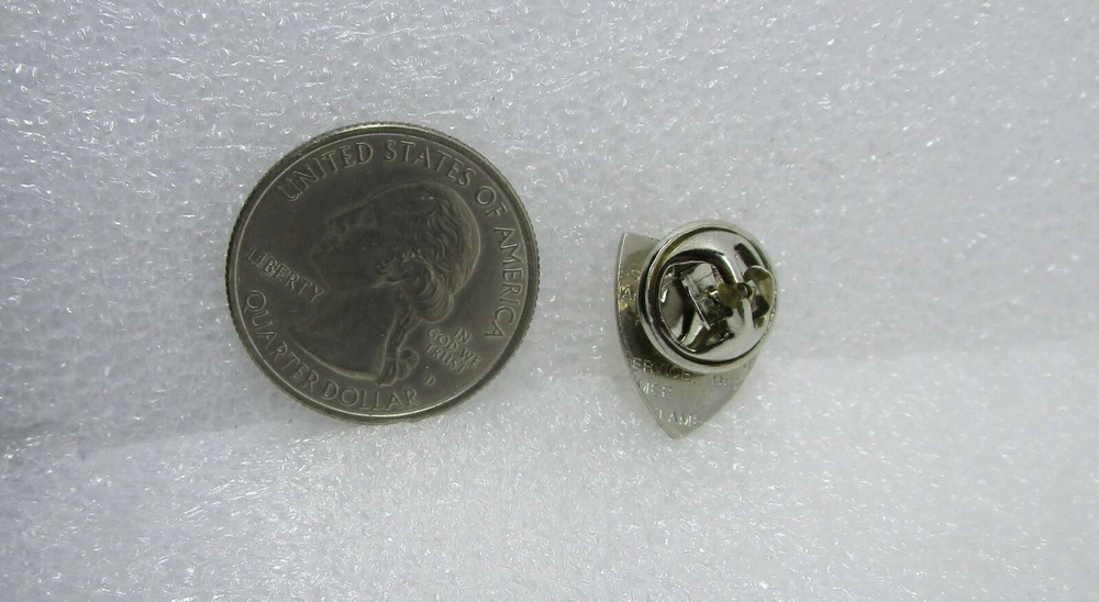 Buffalo Bison Pin