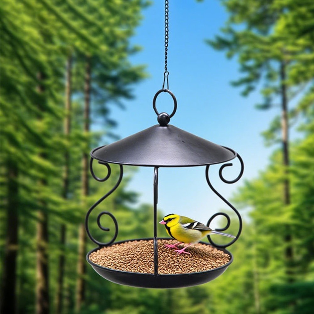 Bird Feeding Container Easy To Clean Exquisite Workmanship High-grade Material