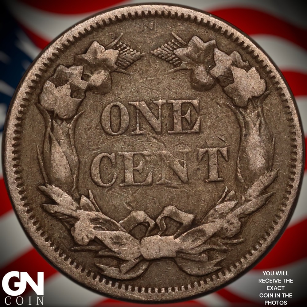 1858 SMALL LETTERS Flying Eagle Cent Penny A2375