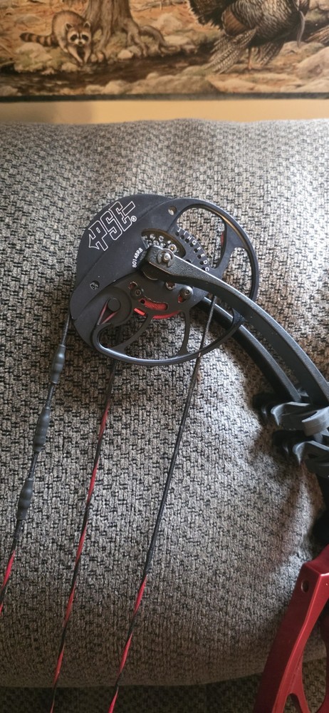 PSE Dominator